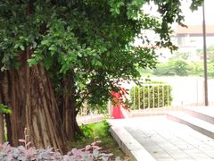 -麦当劳(电白服务区店)