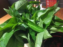 藤藤菜-德香苑脆皮烤鸭·经典(爱融荟城店)