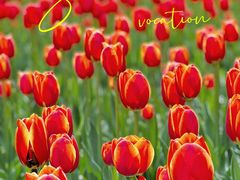 -长春公园(普阳街道)