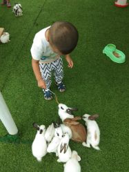 -萌宠亲子动物乐园(槐房万达店)