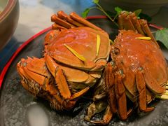 -辛香汇·现炒川菜(淮海路百盛店)