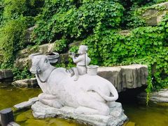 -天目湖山水园