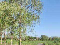 -永定河休闲森林公园