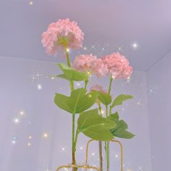 -久匠半永久纹眉
