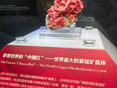 -湖南省地质博物馆