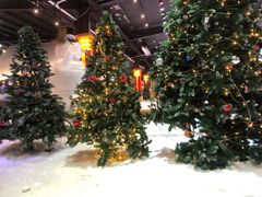 -宁波冰雪大世界(北仑区)