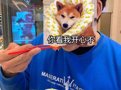 -DQ·蛋糕·冰淇淋(万象城店)