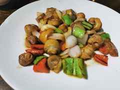-小莆天(元帅路店)