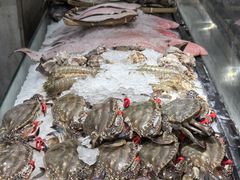 -渔娘渔家丹东海鲜(东直门店)