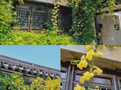 -惠山古镇·寄畅园