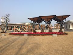 -上海长兴岛郊野公园