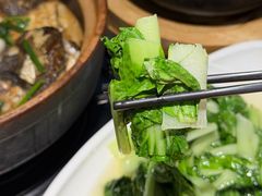 -九道菜有鸡鱼头(石鼓路店)