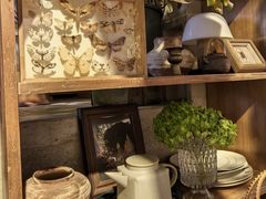 -自由生长植物工作室(深港花卉中心店)