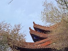 -水磨沟公园