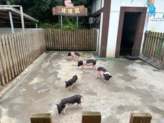 -太阳岛度假酒店