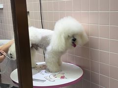 -FAELING PETS美天灵宠物(富力广场店)