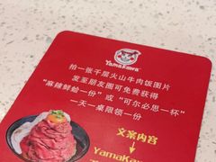 -YAMAKAWA(龙湖胥江天街店)