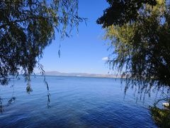 -洱海月湿地公园