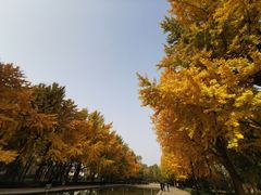 -玲珑塔公园