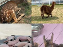 -渔岛海洋度假区