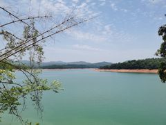 -广州市流溪河国家森林公园