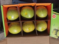 -上海龙吴水胜海发市场