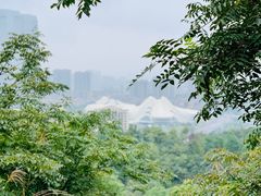 -桃花岭景区