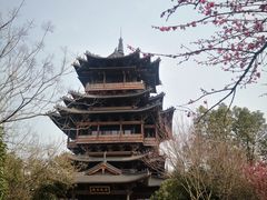 -杭州半山国家森林公园