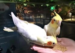 -酷嗒动物文化乐园(cutezoo西溪乐天城店)