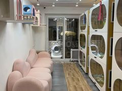 -青奢宠物·青奢猫舍