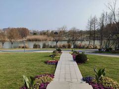 -九里河湿地公园