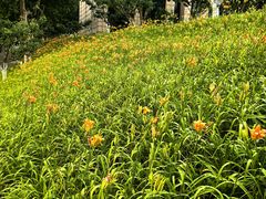-全国宣传干部学院(怀柔校区)