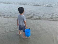 -广东惠东海龟国家级自然保护区