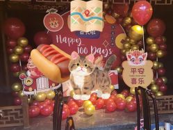 -孩提·一站式宝宝宴布置·儿童生日派对策划·小丑表演(北京店)