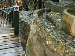 -天门沟九州驿站树上汤泉