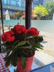 外观-保丽宝泰母婴护理院·月子中心·产康·中医(常州店)