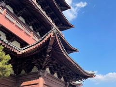 -祥源·阜阳生态乐园