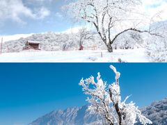 -太子岭滑雪场