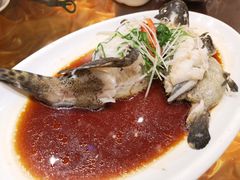-潮粤香海鲜酒楼(沙湖店)