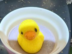 -头牌小厨·福田大排档(石厦店)