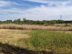 -野鸭湖国家湿地公园