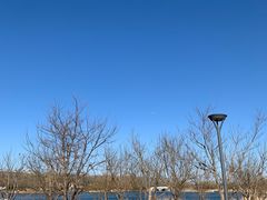 -马家湾湿地公园