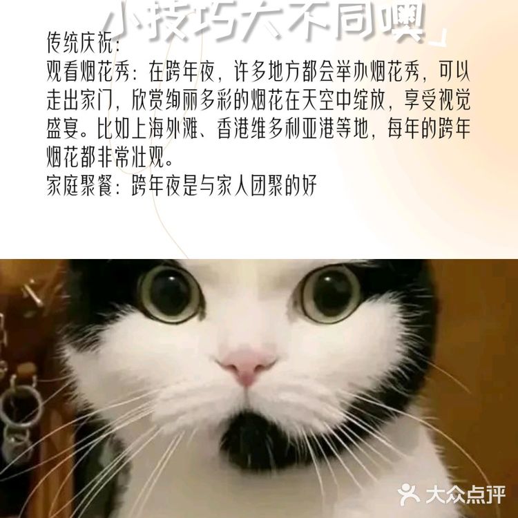 暖心萌宠圈