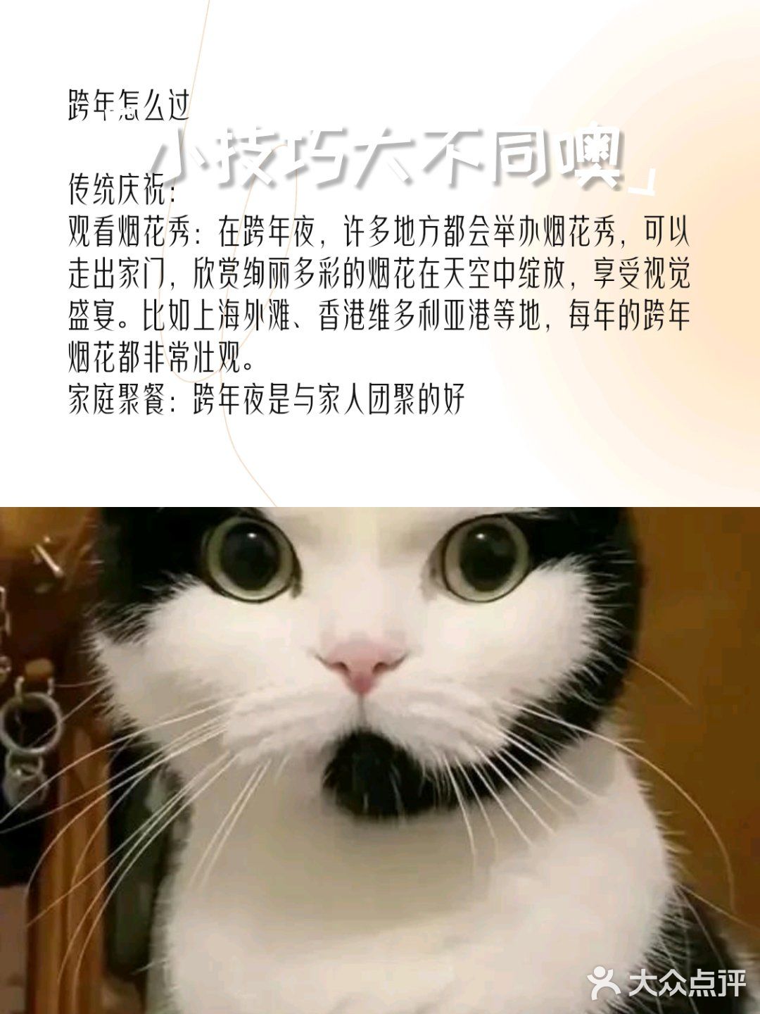 暖心萌宠圈