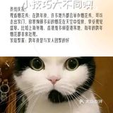 暖心萌宠圈