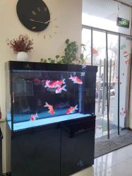 -悦颜美佳·美容·美甲美睫