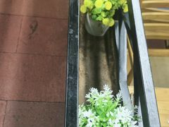 -老五烧烤(石牌岭店)