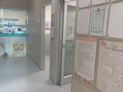 -谐和益家动物医院·免疫绝育·血液透析·宠保定点医院(高新伊藤分院)