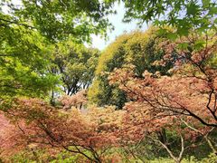 -苏州上方山国家森林公园