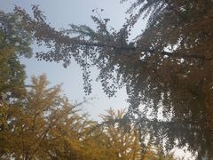 -辽宁大学(崇山校区)